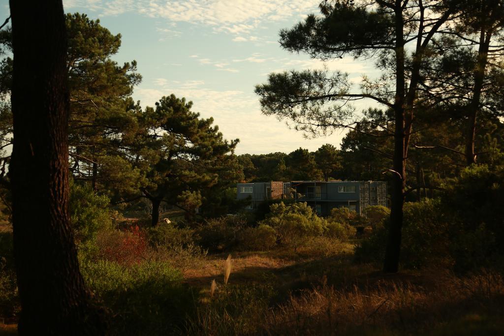 Apartahotel Entre Pinos Eco Box 3*