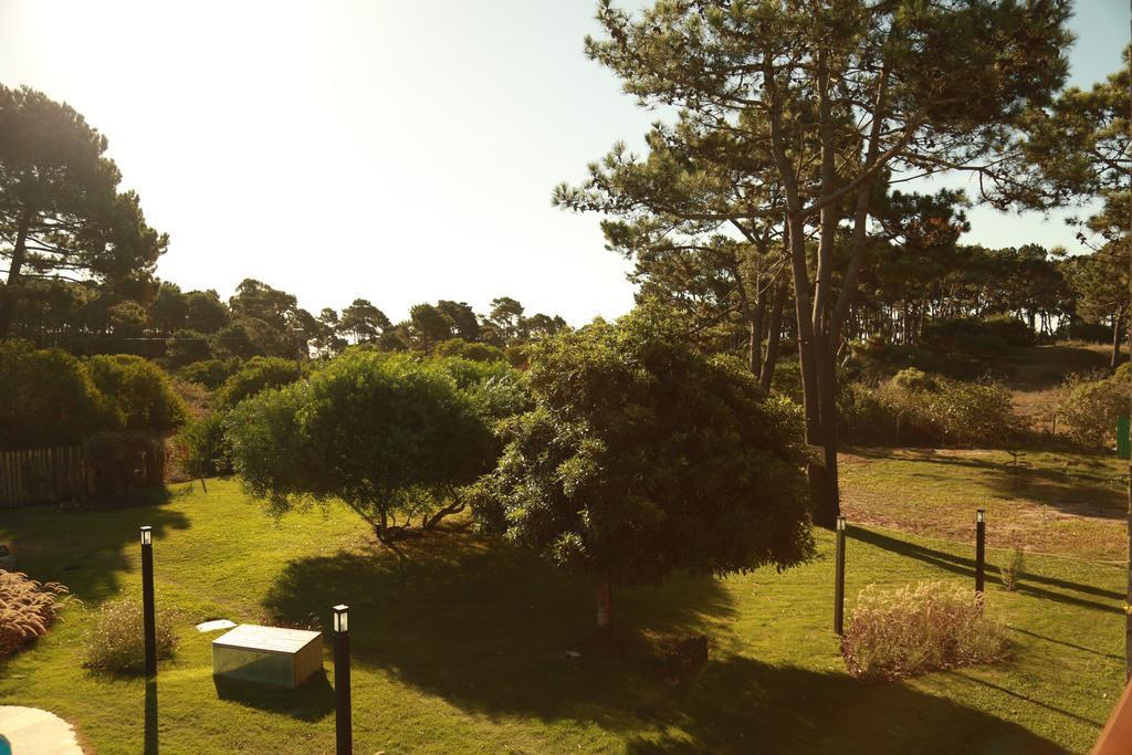 Entre Pinos Eco Box
